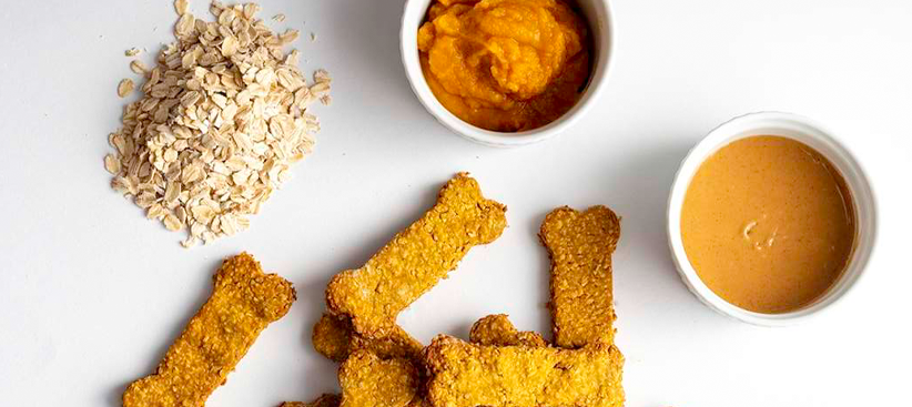 DOG TREATS shorter